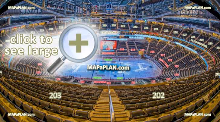 Ppg Paints Arena Seating Chart 3d