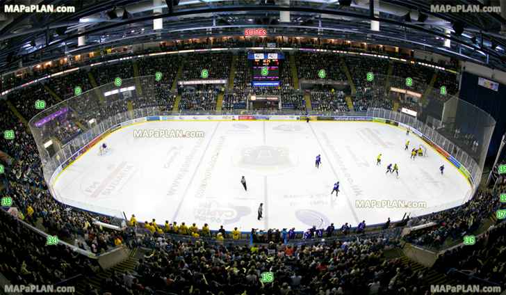 Nottingham Motorpoint Arena Seat